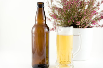 beer bottles with glass vase and plant on white background