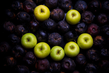letters of the alphabet lined with green apples
