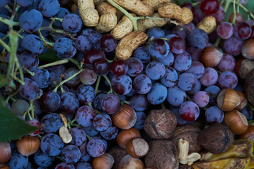 Fresh fruits colorful background, close-up. Healthy Food background concept . Top view. Copy space
