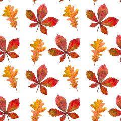 watercolor seamless pattern of autumn leaves for design and decoration