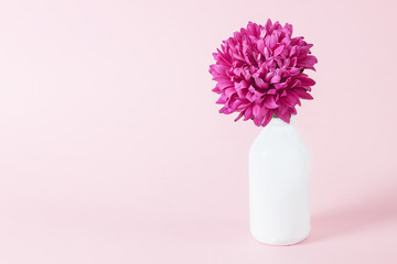 Beautiful pink flowers in vase on pink background with copy space. still life with spring flowers