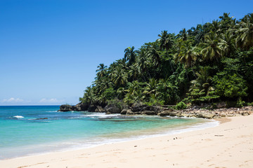 Fototapeta na wymiar Spiaggia tropicale con foresta