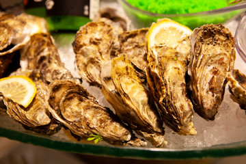 Tasty fresh oysters close-up on ice. Raw oysters are packed with nutrition, high in calcium, potassium, magnesium, vitamin and mineral. Flavor are sweet and refreshing. Believed to be an aphrodisiac.