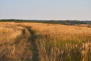 Dusty empty country road through a field