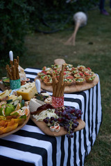 Snacks for beer with different food, close-up. Salty and cheese bar of several kinds of cheese, grapes, olives, nuts, fruits  decorated on table. Holiday party outdoors, picnic