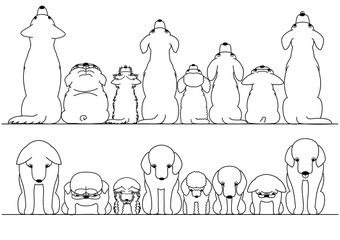 cute dogs looking up and down border set