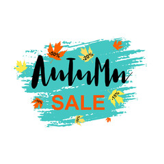 Autumn Sale. Hand drawn season flyer template with hand lettering and maple leaves on brush stroke. Concept season advertising. Poster, card, label, banner design on white background.  Vector