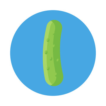 Cucumber flat icon isolated on blue background. Simple Cucumber symbol in flat style, vector illustration for web and mobile design.