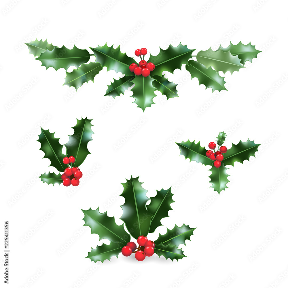 Canvas Prints holly holiday set