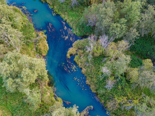 Aerial top view of autumn forest and blue river