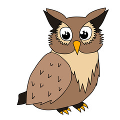 isolated, cute owl character, cartoon