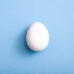 Foto auf Acrylglas A white egg on blue background © kavzov