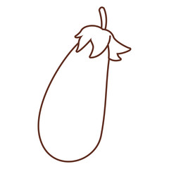 Eggplant fresh vegetable