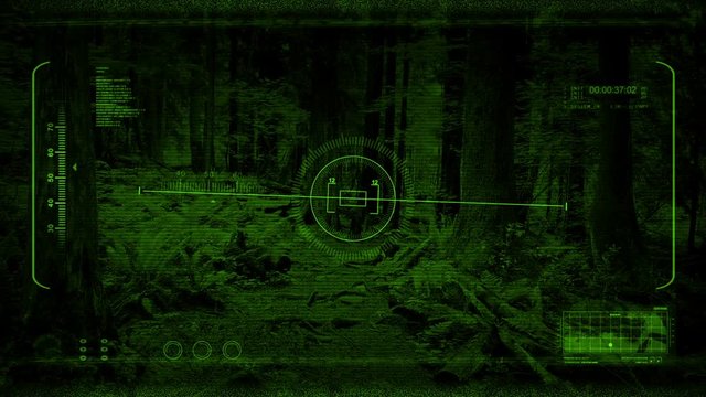 Night Vision POV Gliding Along Forest Path