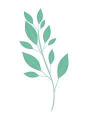 beautiful leaf plant isolated icon