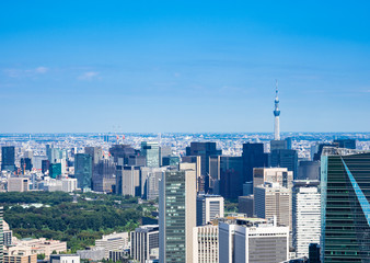 Obraz premium 東京 青空と都市風景