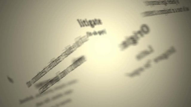 Definition: Litigate 