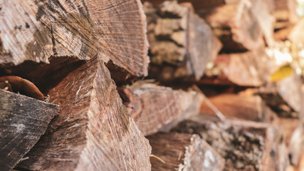 Wood pile perspective