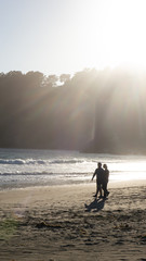 beach meets Forrest silhouette 