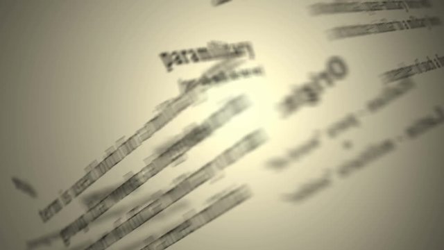 Definition: Paramilitary  