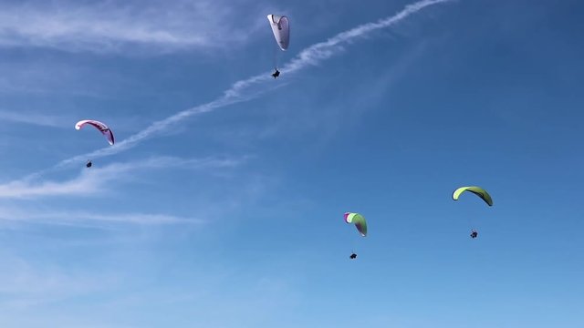 Multiple people parasailing in the sky.