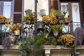 Balcony with hanging garden of succulents on Ortigia Island, Syracuse, Sicily
