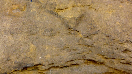 sandstone stone wall