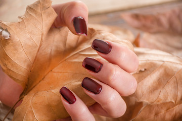 Girl with brown manicure on finger holds dry fall leaf in hand on wooden and leaves background....