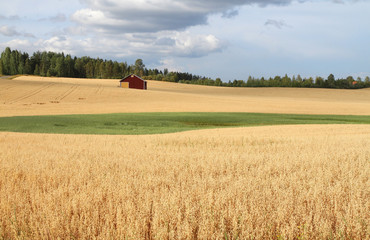 Fototapeta na wymiar Near Parkano, Finland