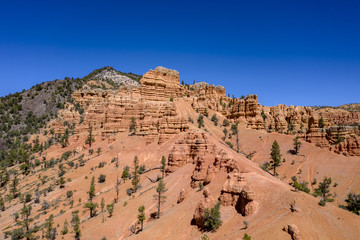 Fototapeta premium Red Canyon - Dixie National Forest