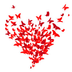 Obraz na płótnie Canvas red heart, butterflies, valentine card