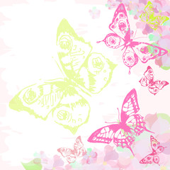 beautiful pink butterflies, isolated  on a white