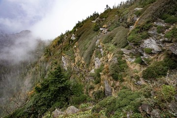 Scenics in the Great Smoky Mountains from Alum Cave trail to Mount Le Conte