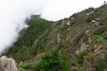 Scenics in the Great Smoky Mountains from Alum Cave trail to Mount Le Conte