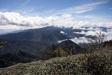 Scenics in the Great Smoky Mountains from Alum Cave trail to Mount Le Conte