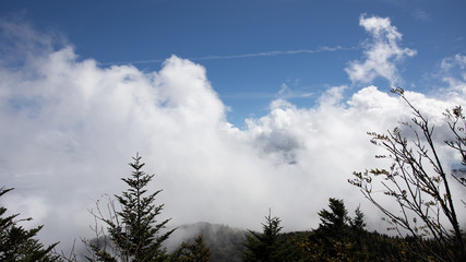 Scenics in the Great Smoky Mountains from Alum Cave trail to Mount Le Conte