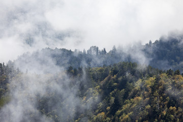 Scenics in the Great Smoky Mountains from Alum Cave trail to Mount Le Conte