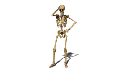 Worried skeleton thinking, human skeleton isolated on white background, 3D rendering