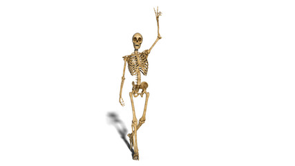 Funny skeleton smiling and showing victory sign, walking human skeleton isolated on white background, 3D rendering