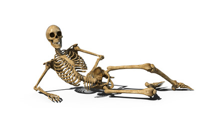 Funny skeleton laying on ground and smiling, human skeleton isolated on white background, 3D rendering