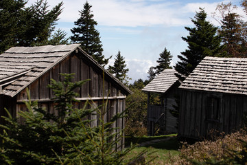 Scenics in the Great Smoky Mountains from Alum Cave trail to Mount Le Conte