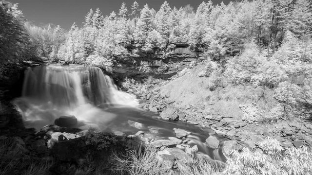 Black and white, infrared cinemagraph of Blackwater Falls pours water through a gorge in West Virginia.