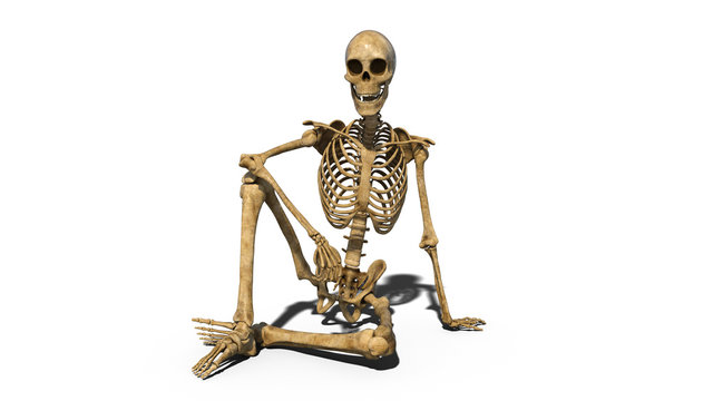 Funny skeleton sitting on ground and smiling, human skeleton isolated on white background, 3D rendering