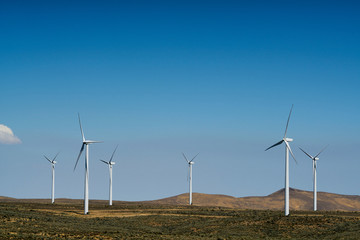 Wind Farm Eastern Washington