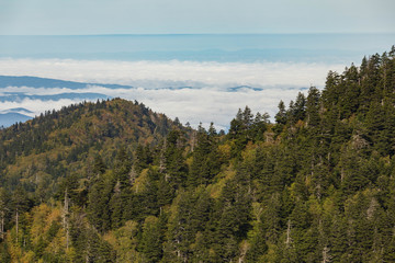 Scenics in the Great Smoky Mountains from Alum Cave trail to Mount Le Conte