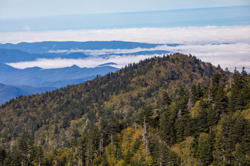 Scenics in the Great Smoky Mountains from Alum Cave trail to Mount Le Conte