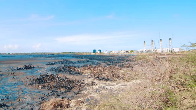 Mangroves destroyed and covered in crude oil with an oil refinery in the background of an Asphalt Lake, Curacao