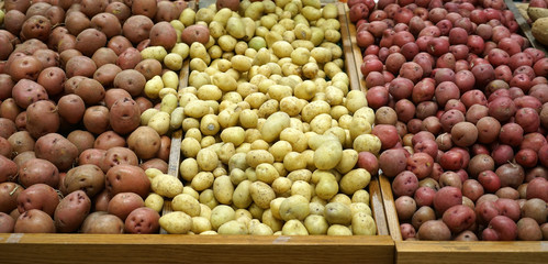 Potatoes of different color in the grocery store for sale