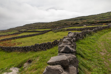 Inishmore Pasture