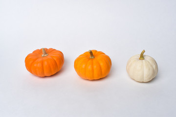 Orange and White Pumpkin on White Background
